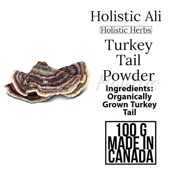 Turkey Tail, 100G Organically Grown