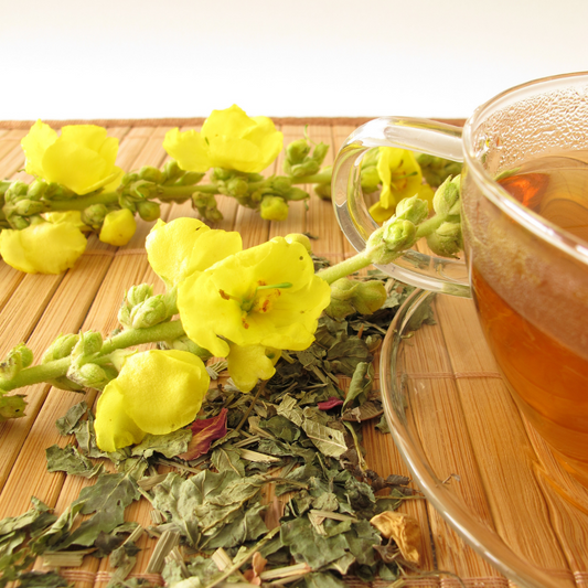 Health Benefits of Mullein Leaf Extract