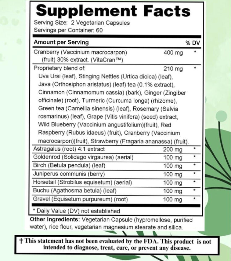 Holistic Kidney Support