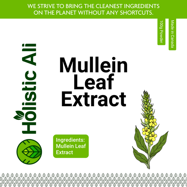 Mullein Leaf Extract Powder 100g, Organically Grown
