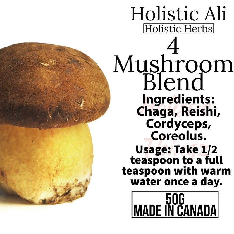 4 Mushroom Blend - Chaga, Cordyceps, Reishi, Coriolus ON SALE BUY ONE GET ONE