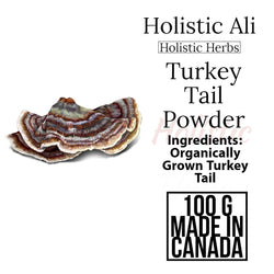Turkey Tail, 100G Organically Grown