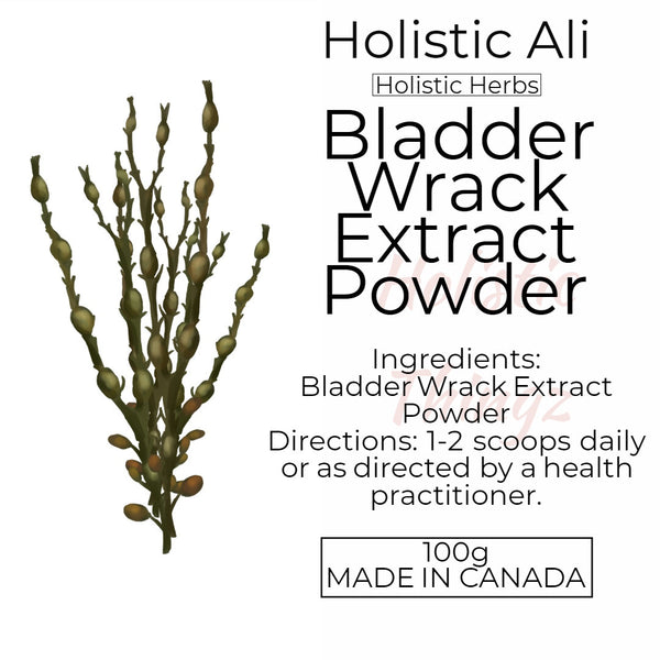 Bladder Wrack Extract Powder 100g