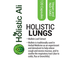 Holistic Lungs - Mullein
