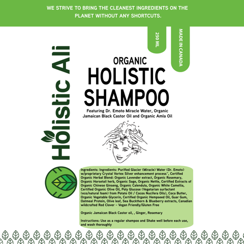 Organic Jamaican Black Castor Ginger Rosemary Shampoo 2 bottles 250ml each